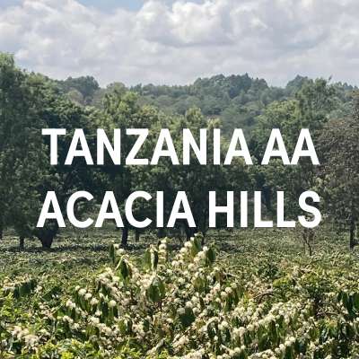 Tanzania Acacia Hills Single Origin Filter